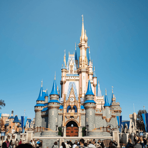 1 Day Park Hopper Plus