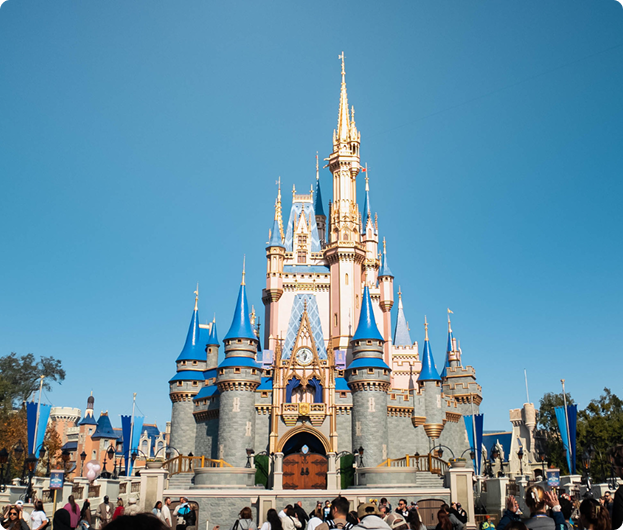 1 Day Park Hopper Plus