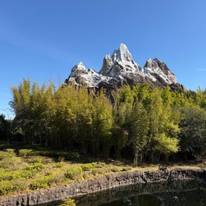 1 Day - Animal Kingdom