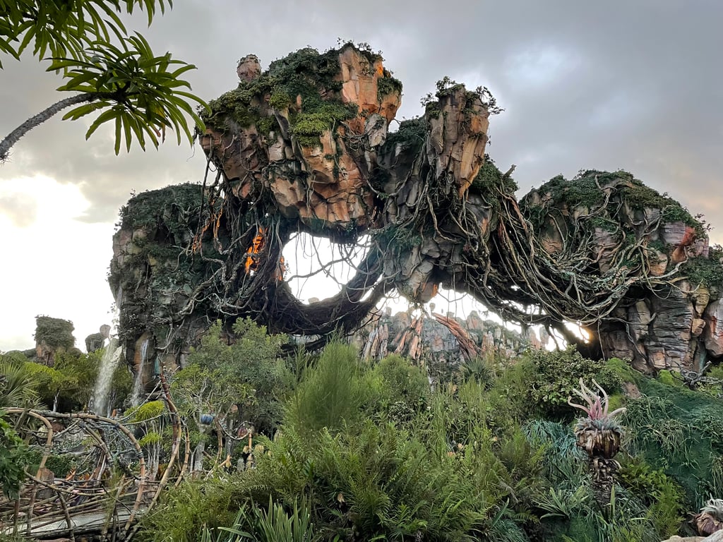 Animal Kingdom - Pandora
