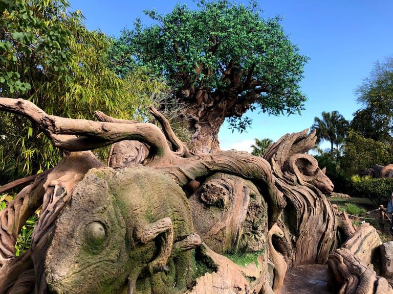 Disney World - Animal Kingdom - Tree of Life
