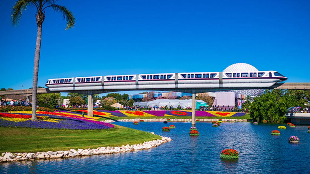 How to Save Money on Transportation at Disney World